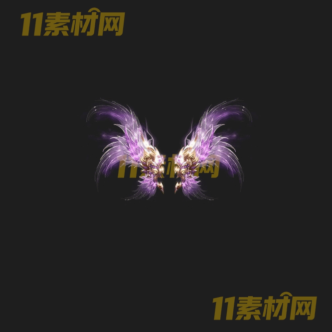 传奇翅膀素材 内外观高清PNG序列帧—CB20260429-295